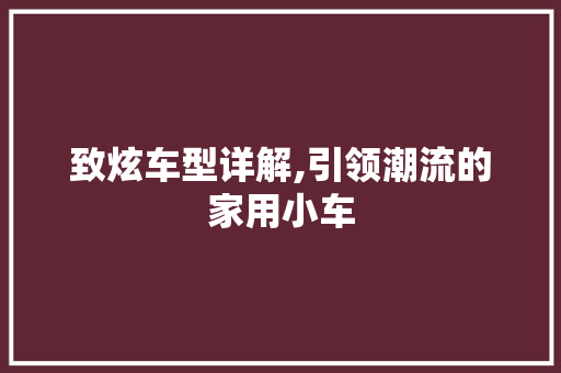 致炫车型详解,引领潮流的家用小车
