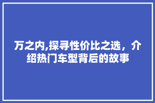 万之内,探寻性价比之选，介绍热门车型背后的故事