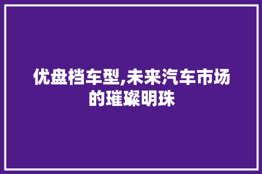 优盘档车型,未来汽车市场的璀璨明珠 汽车配件