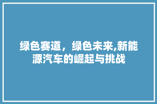 绿色赛道，绿色未来,新能源汽车的崛起与挑战