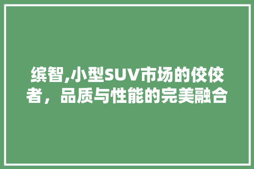 缤智,小型SUV市场的佼佼者，品质与性能的完美融合