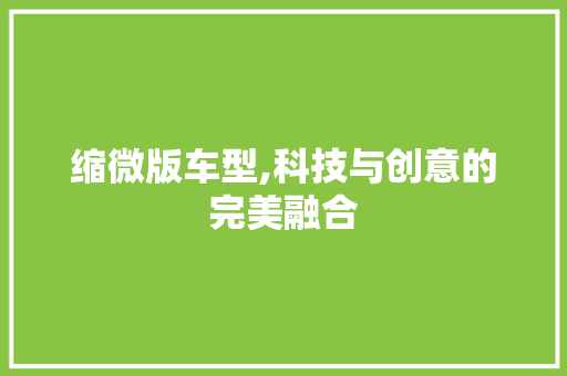 缩微版车型,科技与创意的完美融合
