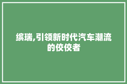 缤瑞,引领新时代汽车潮流的佼佼者