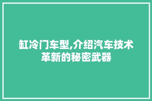 缸冷门车型,介绍汽车技术革新的秘密武器
