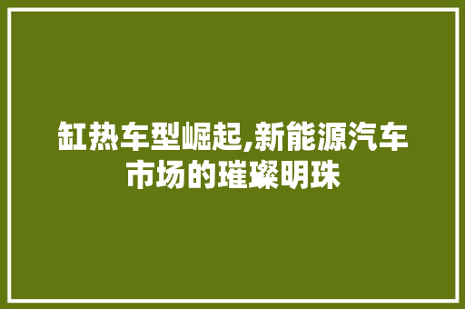 缸热车型崛起,新能源汽车市场的璀璨明珠