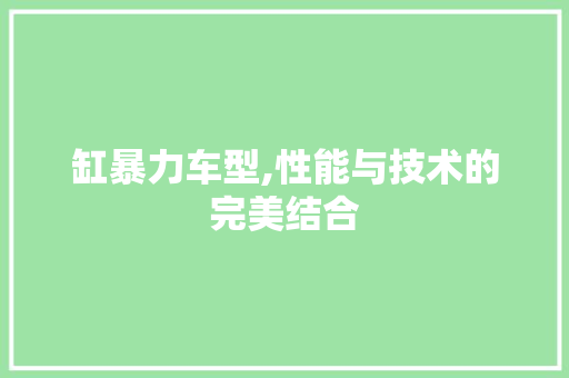 缸暴力车型,性能与技术的完美结合
