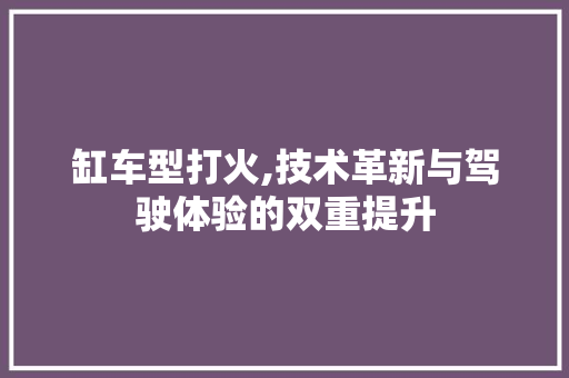 缸车型打火,技术革新与驾驶体验的双重提升