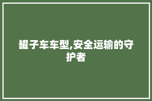 罐子车车型,安全运输的守护者