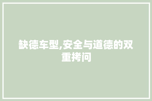 缺德车型,安全与道德的双重拷问