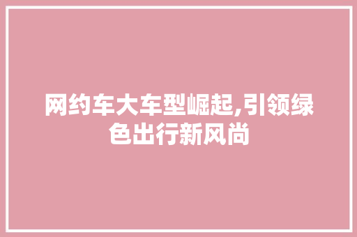 网约车大车型崛起,引领绿色出行新风尚