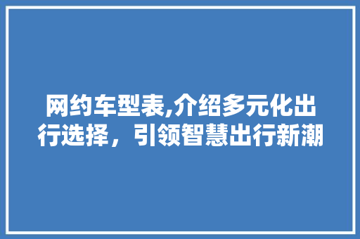 网约车型表,介绍多元化出行选择，引领智慧出行新潮流