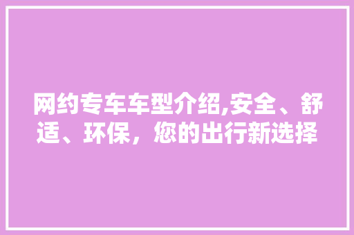 网约专车车型介绍,安全、舒适、环保，您的出行新选择