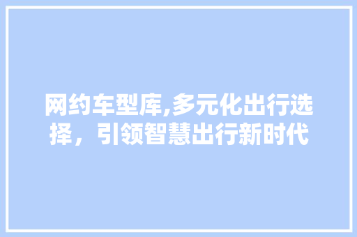 网约车型库,多元化出行选择，引领智慧出行新时代