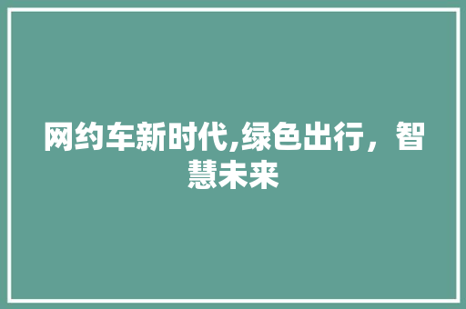 网约车新时代,绿色出行，智慧未来