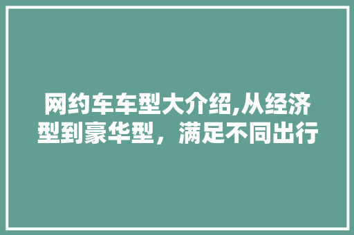 网约车车型大介绍,从经济型到豪华型，满足不同出行需求
