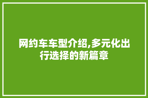 网约车车型介绍,多元化出行选择的新篇章