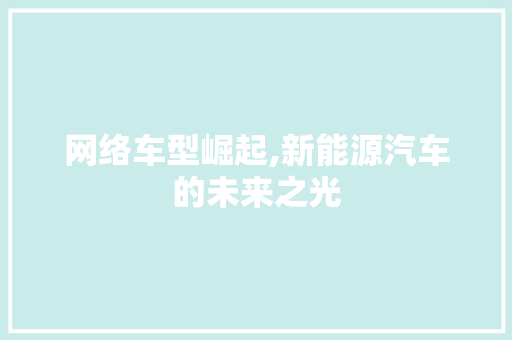 网络车型崛起,新能源汽车的未来之光