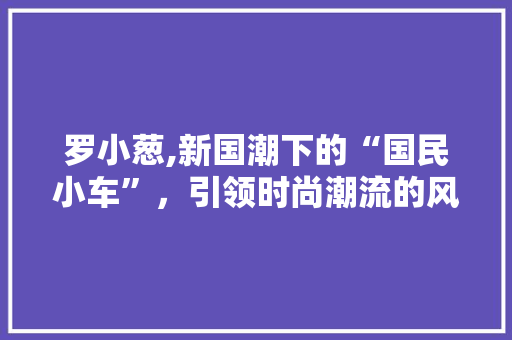 罗小葱,新国潮下的“国民小车”，引领时尚潮流的风向标