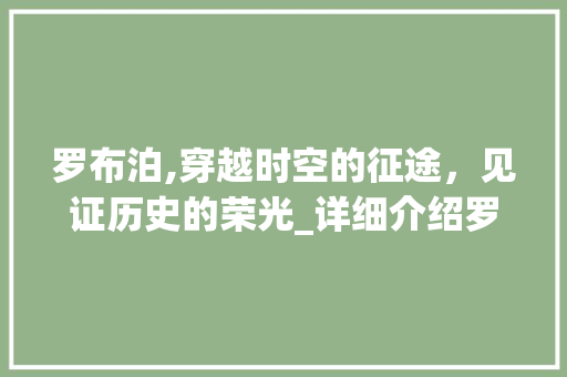 罗布泊,穿越时空的征途，见证历史的荣光_详细介绍罗布泊车型