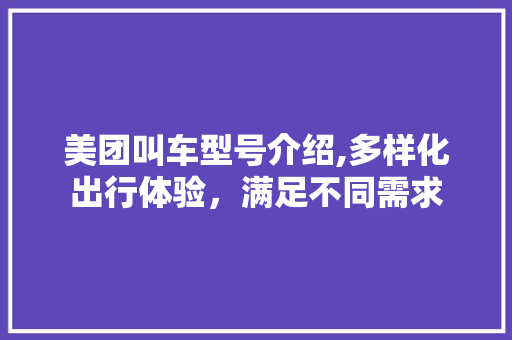 美团叫车型号介绍,多样化出行体验，满足不同需求