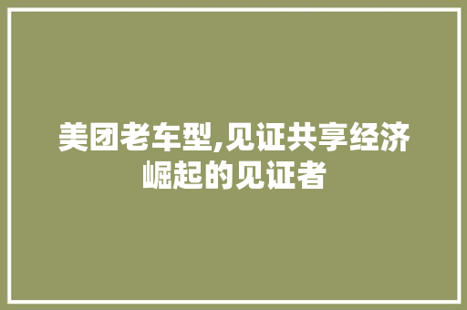 美团老车型,见证共享经济崛起的见证者