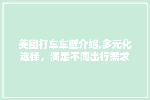 美团打车车型介绍,多元化选择，满足不同出行需求