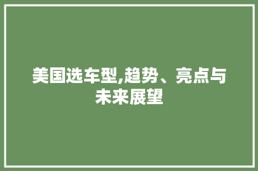 美国选车型,趋势、亮点与未来展望