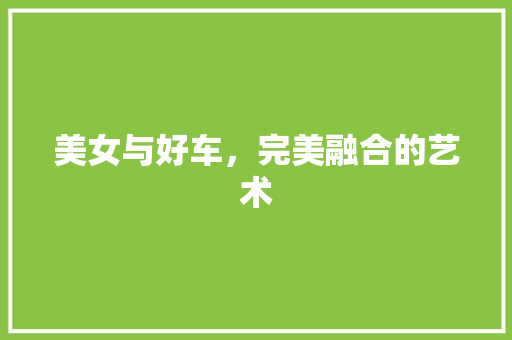 美女与好车，完美融合的艺术
