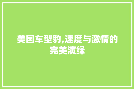 美国车型豹,速度与激情的完美演绎