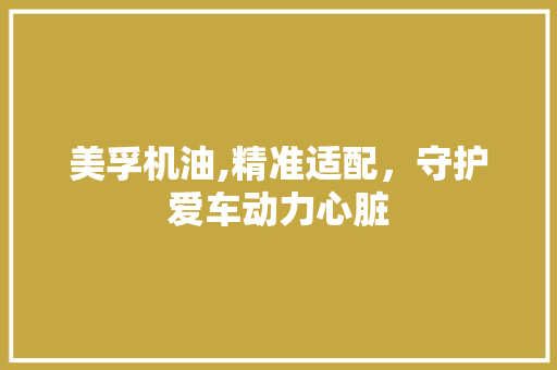 美孚机油,精准适配，守护爱车动力心脏