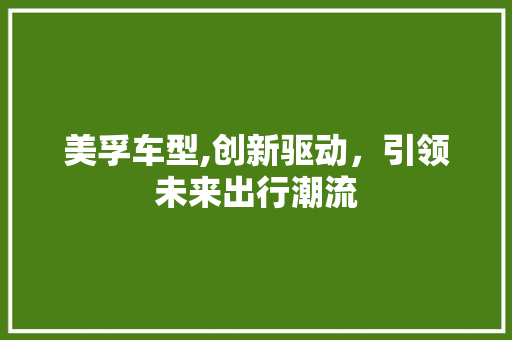 美孚车型,创新驱动，引领未来出行潮流