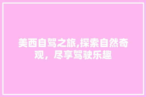 美西自驾之旅,探索自然奇观，尽享驾驶乐趣