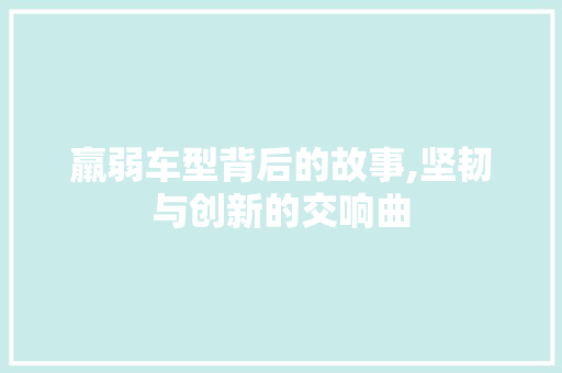 羸弱车型背后的故事,坚韧与创新的交响曲