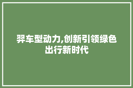 羿车型动力,创新引领绿色出行新时代