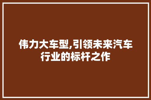 伟力大车型,引领未来汽车行业的标杆之作