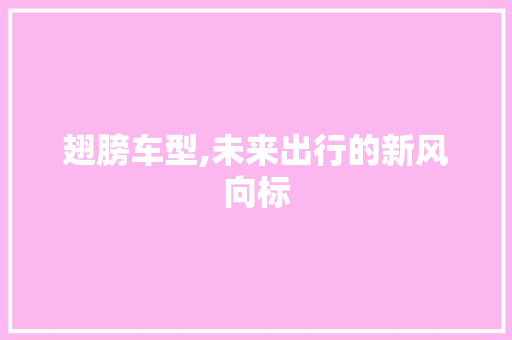 翅膀车型,未来出行的新风向标