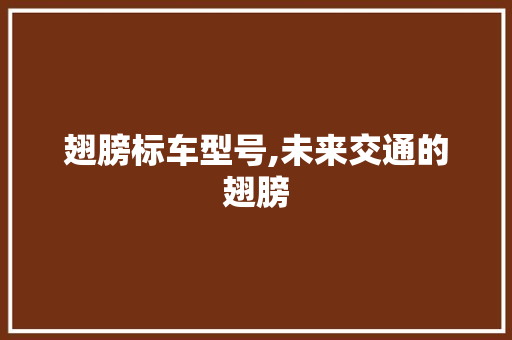 翅膀标车型号,未来交通的翅膀