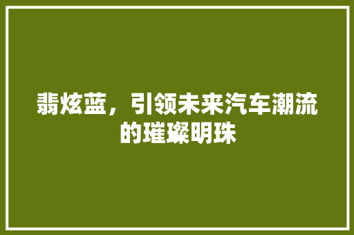 翡炫蓝，引领未来汽车潮流的璀璨明珠