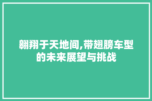 翱翔于天地间,带翅膀车型的未来展望与挑战