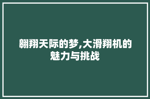 翱翔天际的梦,大滑翔机的魅力与挑战