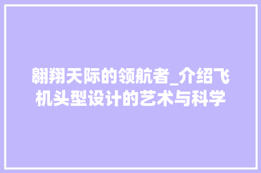 翱翔天际的领航者_介绍飞机头型设计的艺术与科学