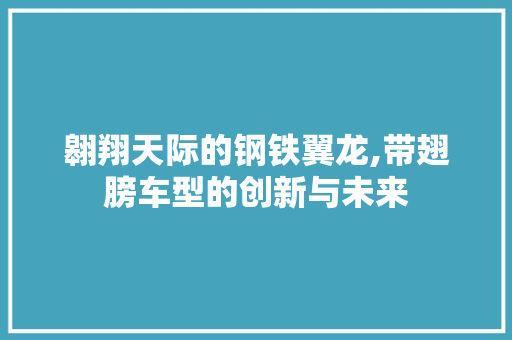翱翔天际的钢铁翼龙,带翅膀车型的创新与未来