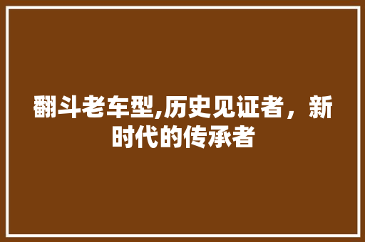 翻斗老车型,历史见证者，新时代的传承者