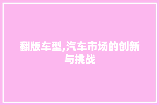 翻版车型,汽车市场的创新与挑战