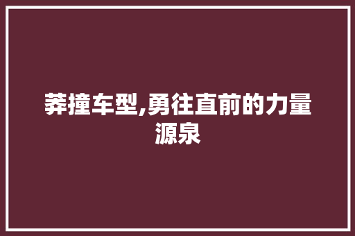 莽撞车型,勇往直前的力量源泉