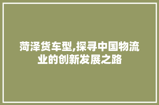 菏泽货车型,探寻中国物流业的创新发展之路