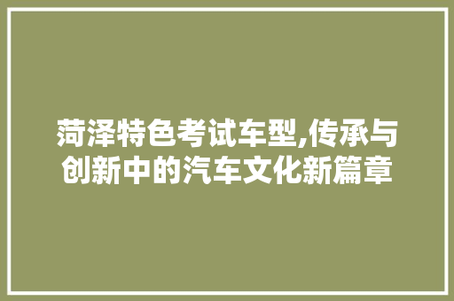 菏泽特色考试车型,传承与创新中的汽车文化新篇章