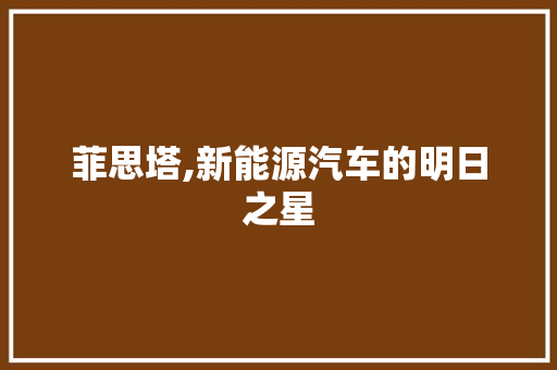 菲思塔,新能源汽车的明日之星