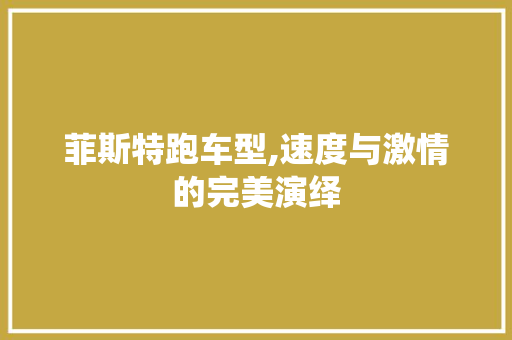 菲斯特跑车型,速度与激情的完美演绎