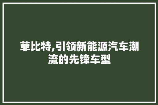 菲比特,引领新能源汽车潮流的先锋车型